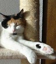 erna63 uploaded   221  day/s  ago