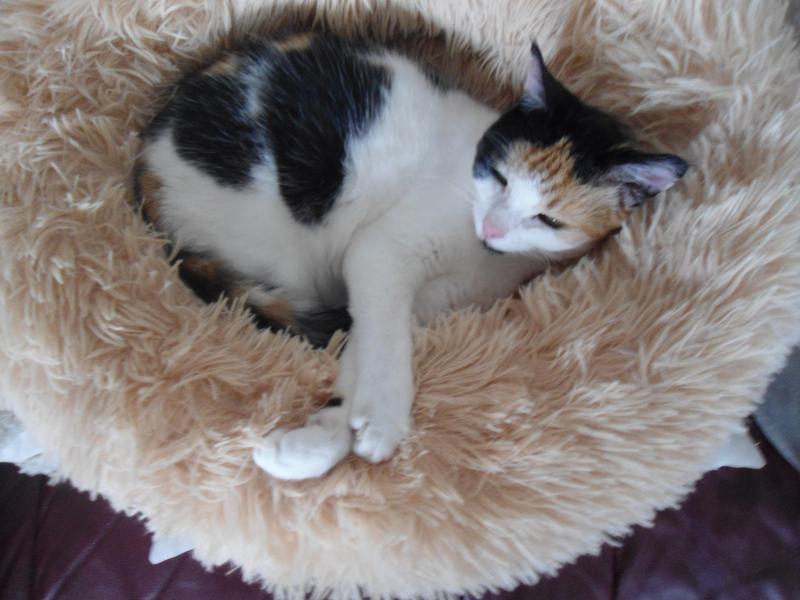 erna63 uploaded   221  day/s  ago