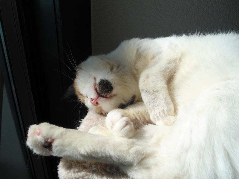 erna63 uploaded   220  day/s  ago