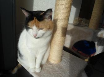 erna63 uploaded   220  day/s  ago