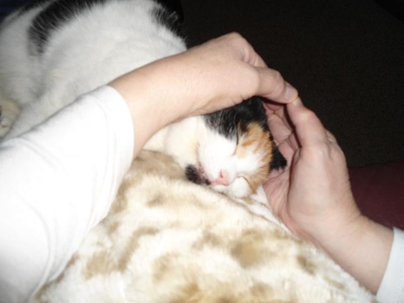 erna63 uploaded   220  day/s  ago