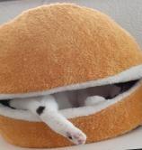 erna63 uploaded   219  day/s  ago