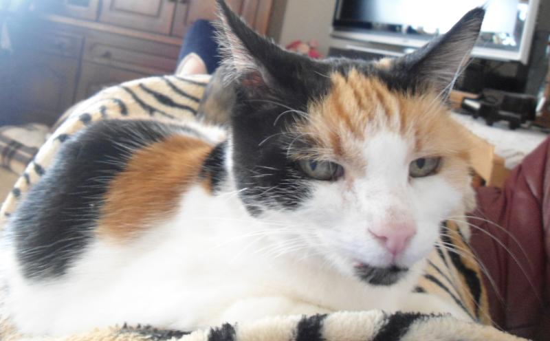 erna63 uploaded   217  day/s  ago