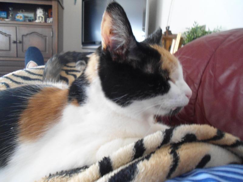 erna63 uploaded   217  day/s  ago