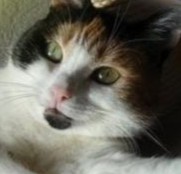 erna63 uploaded   214  day/s  ago