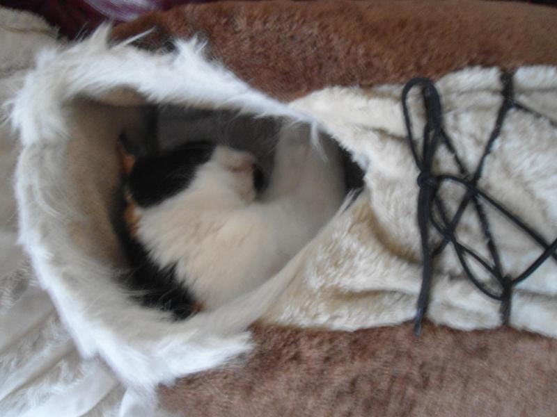 erna63 uploaded   211  day/s  ago