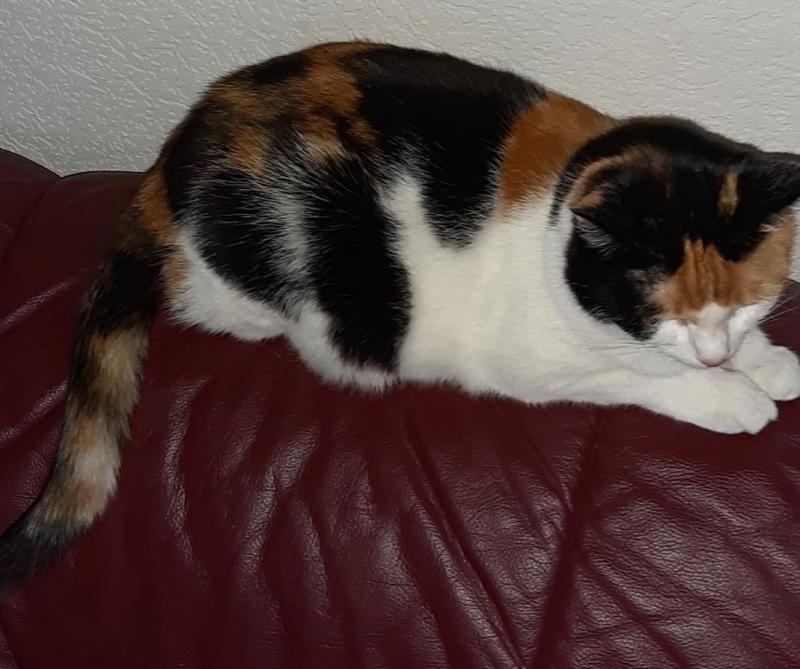 erna63 uploaded   211  day/s  ago