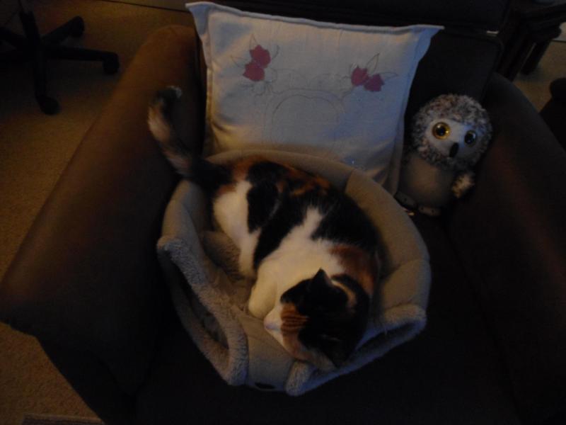 erna63 uploaded   210  day/s  ago