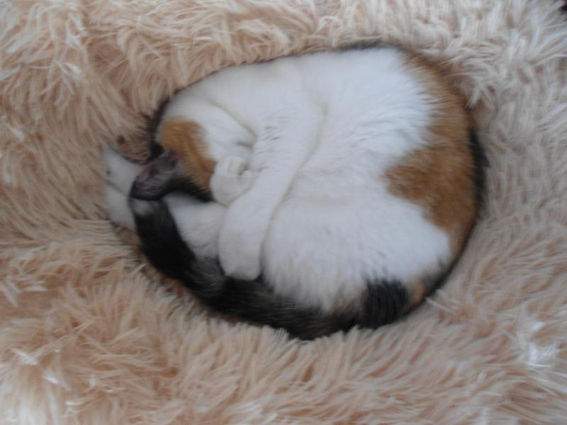 erna63 uploaded   209  day/s  ago