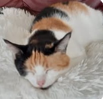 erna63 uploaded   207  day/s  ago