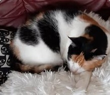 erna63 uploaded   207  day/s  ago