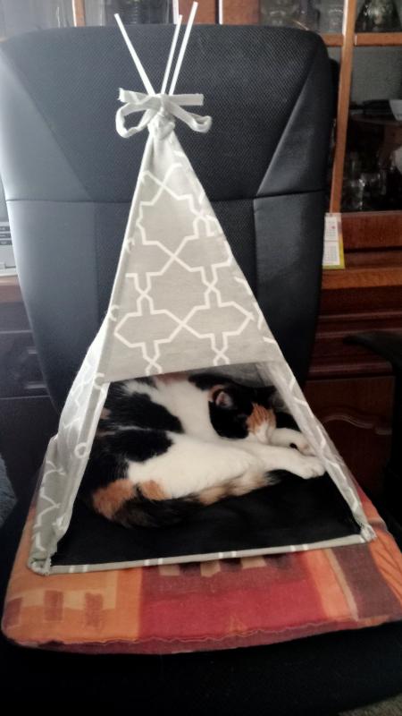 erna63 uploaded   231  day/s  ago