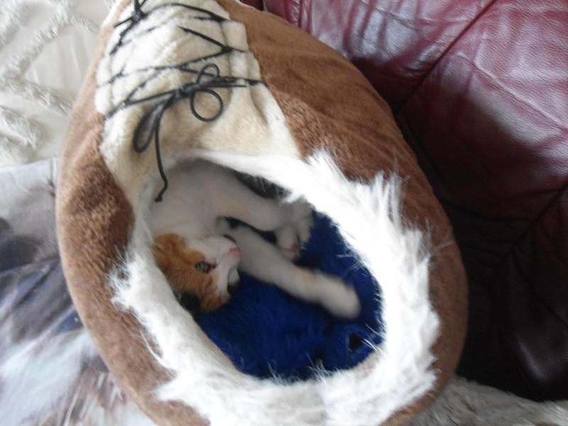 erna63 uploaded   230  day/s  ago