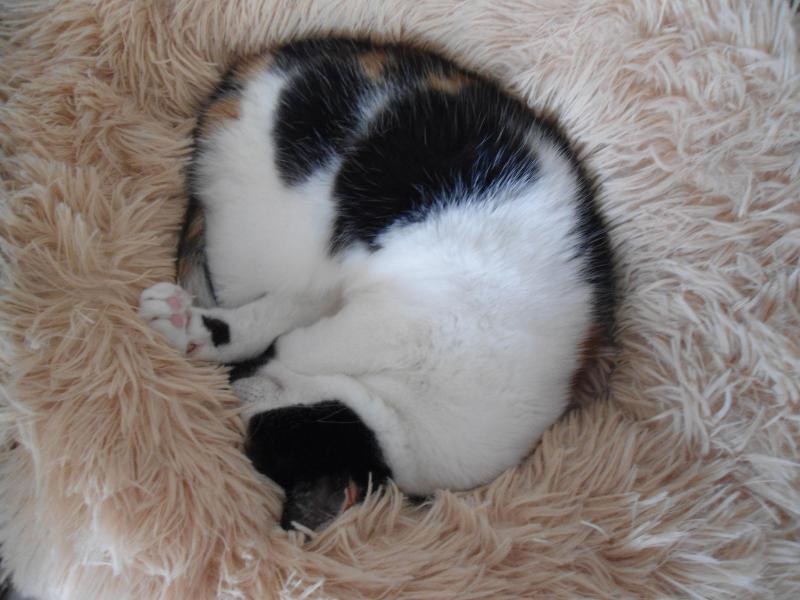 erna63 uploaded   229  day/s  ago