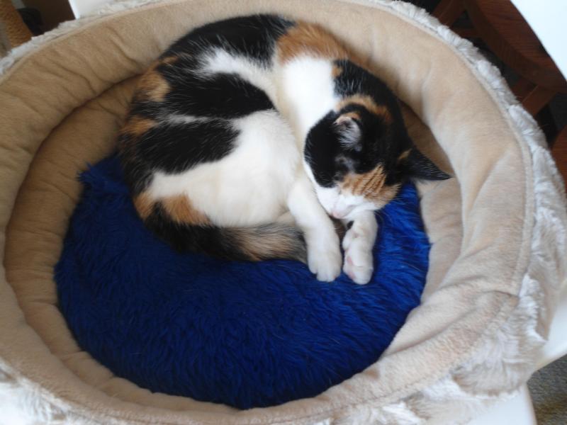 erna63 uploaded   191  day/s  ago