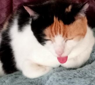 erna63 uploaded   180  day/s  ago