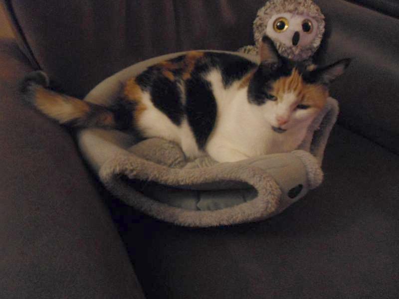 erna63 uploaded   178  day/s  ago