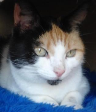 erna63 uploaded   176  day/s  ago