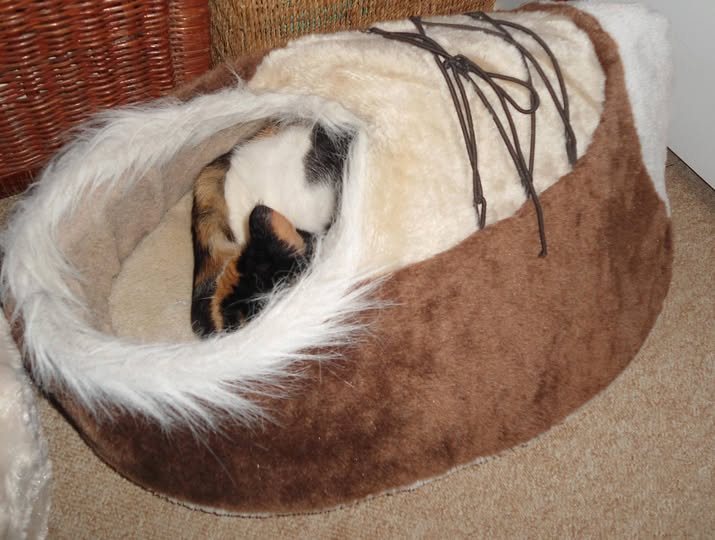 erna63 uploaded   174  day/s  ago