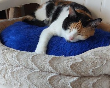 erna63 uploaded   174  day/s  ago