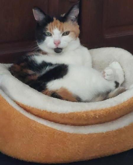 erna63 uploaded   174  day/s  ago