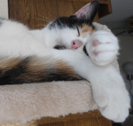 erna63 uploaded   201  day/s  ago