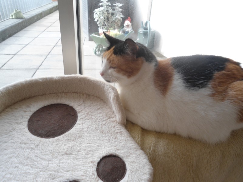 erna63 uploaded   201  day/s  ago