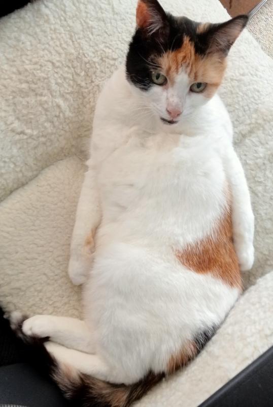 erna63 uploaded   198  day/s  ago