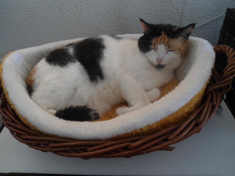 erna63 uploaded   162  day/s  ago