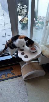 erna63 uploaded   161  day/s  ago