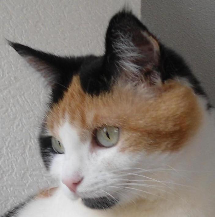 erna63 uploaded   161  day/s  ago