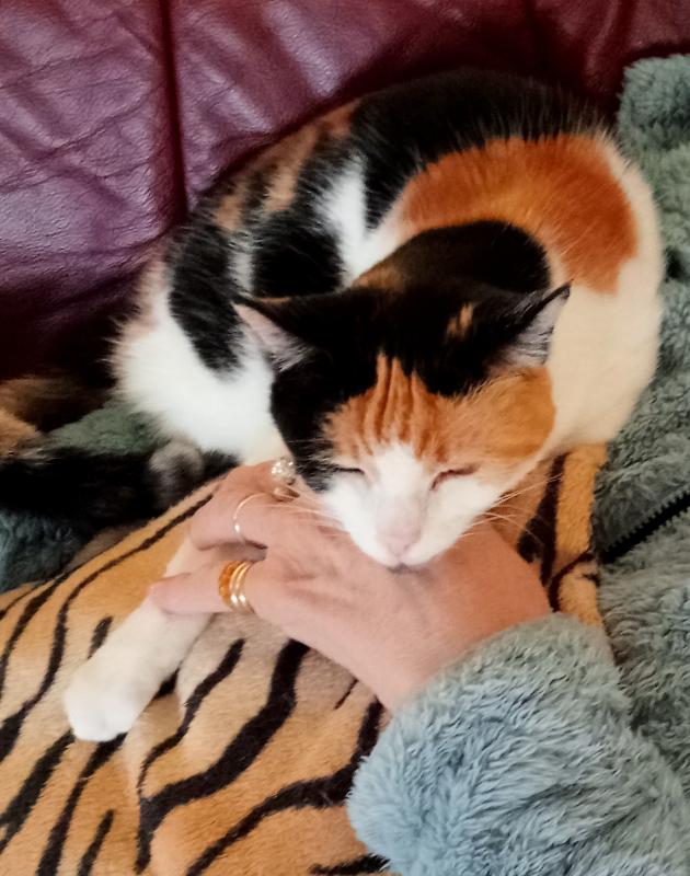 erna63 uploaded   160  day/s  ago