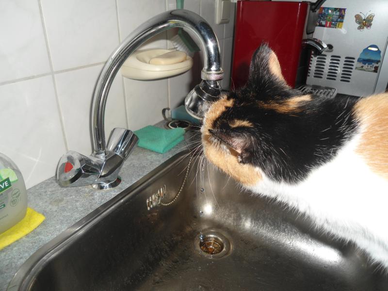 erna63 uploaded   159  day/s  ago