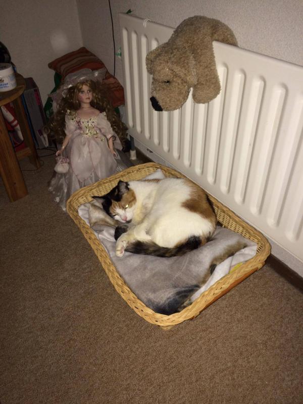 erna63 uploaded   159  day/s  ago