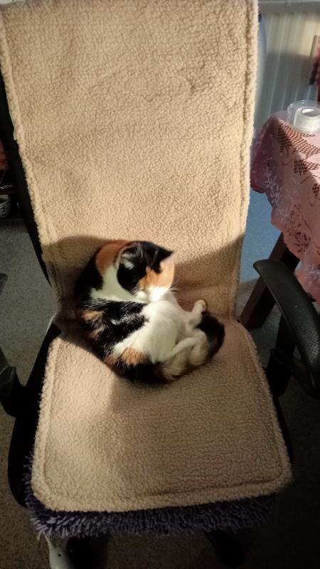 erna63 uploaded   150  day/s  ago