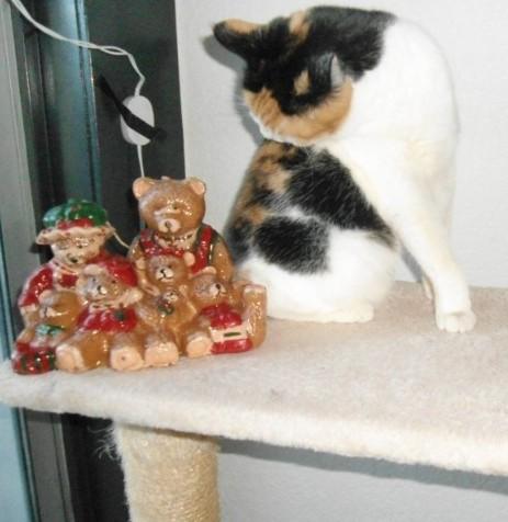 erna63 uploaded   146  day/s  ago