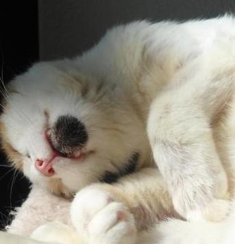 erna63 uploaded   146  day/s  ago