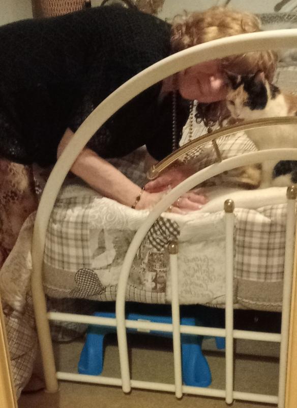 erna63 uploaded   168  day/s  ago