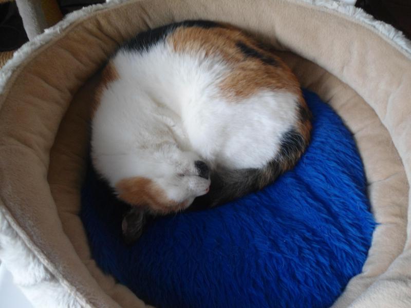 erna63 uploaded   168  day/s  ago