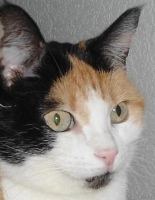 erna63 uploaded   132  day/s  ago