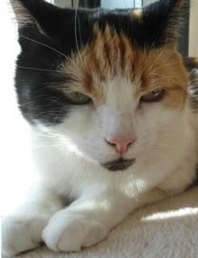 erna63 uploaded   132  day/s  ago