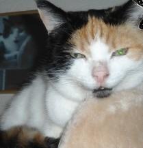 erna63 uploaded   127  day/s  ago