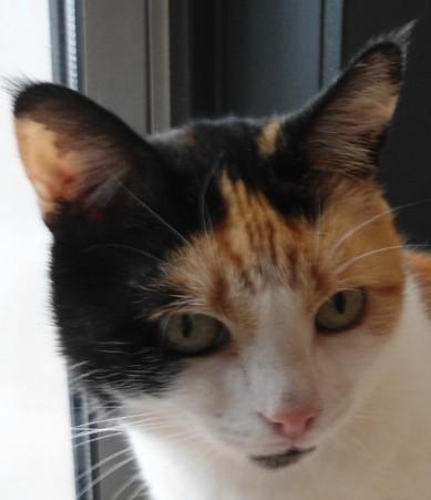 erna63 uploaded   126  day/s  ago