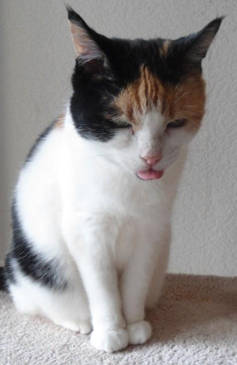 erna63 uploaded   126  day/s  ago