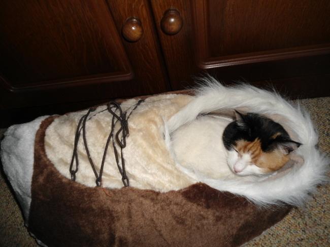 erna63 uploaded   125  day/s  ago