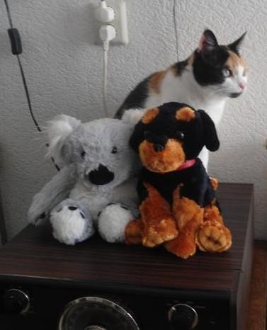 erna63 uploaded   124  day/s  ago