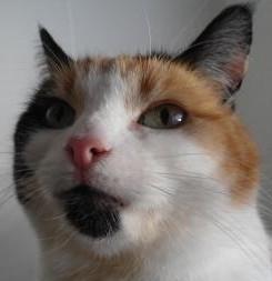 erna63 uploaded   124  day/s  ago