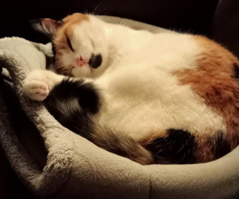 erna63 uploaded   124  day/s  ago