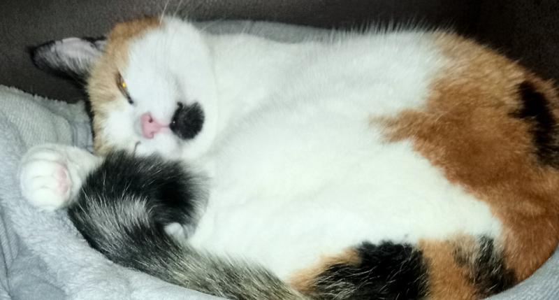 erna63 uploaded   124  day/s  ago