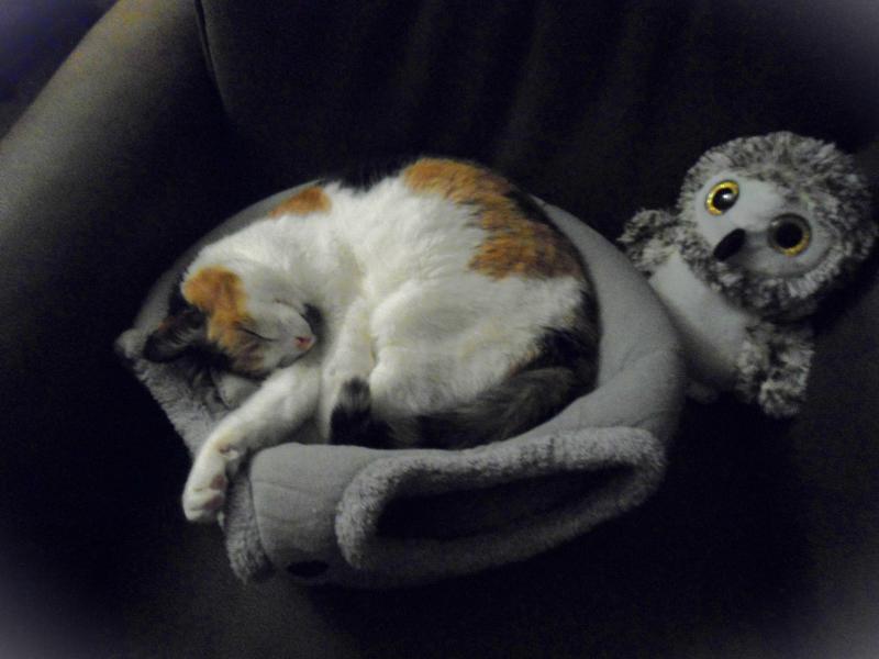 erna63 uploaded   123  day/s  ago